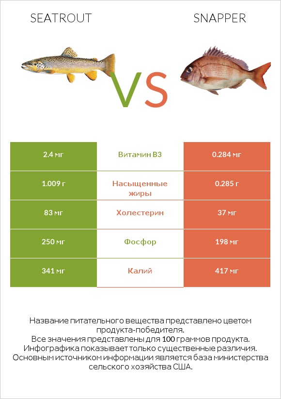 Seatrout vs Snapper infographic