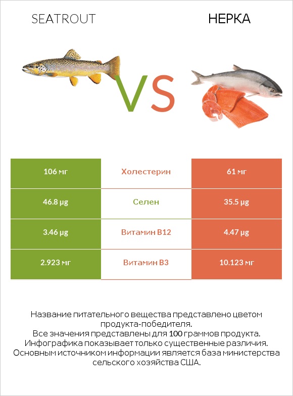 Seatrout vs Нерка infographic