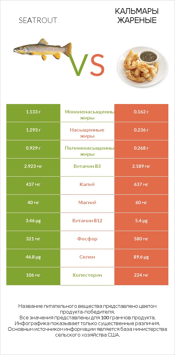 Seatrout vs Кальмары жареные infographic