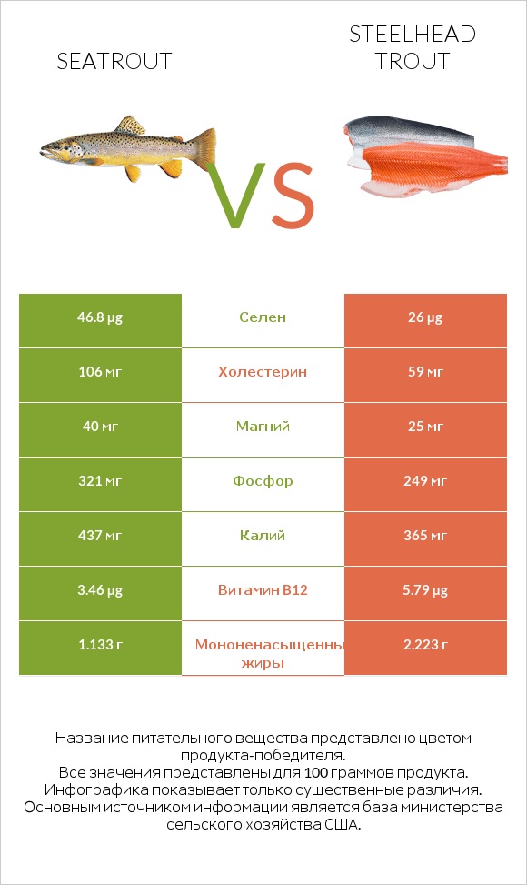 Seatrout vs Steelhead trout infographic