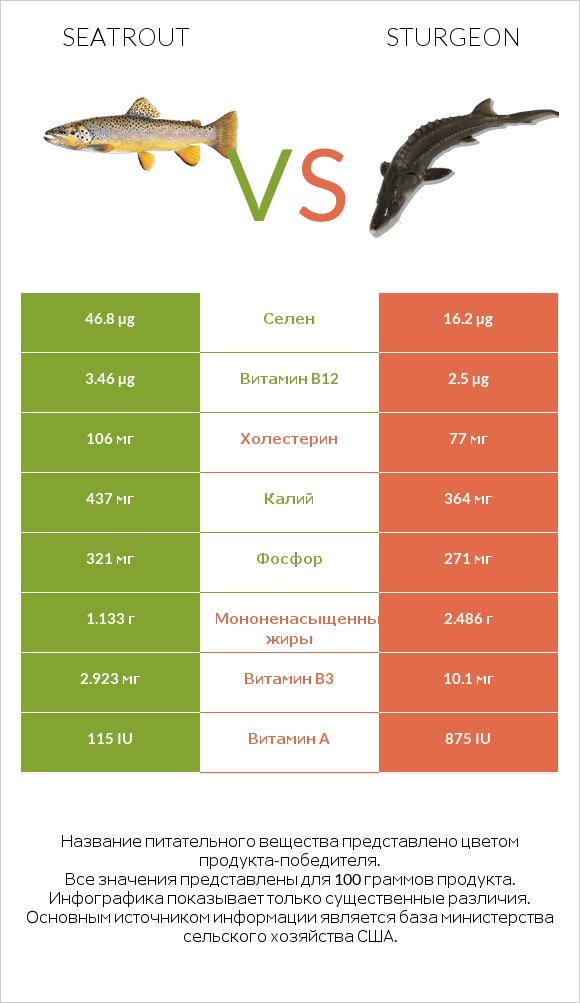 Seatrout vs Sturgeon infographic