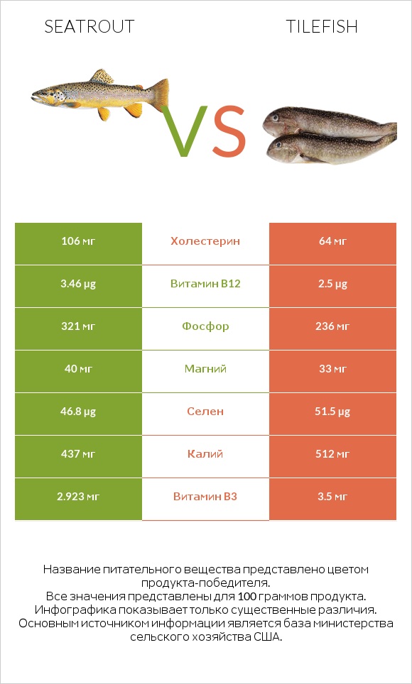 Seatrout vs Tilefish infographic