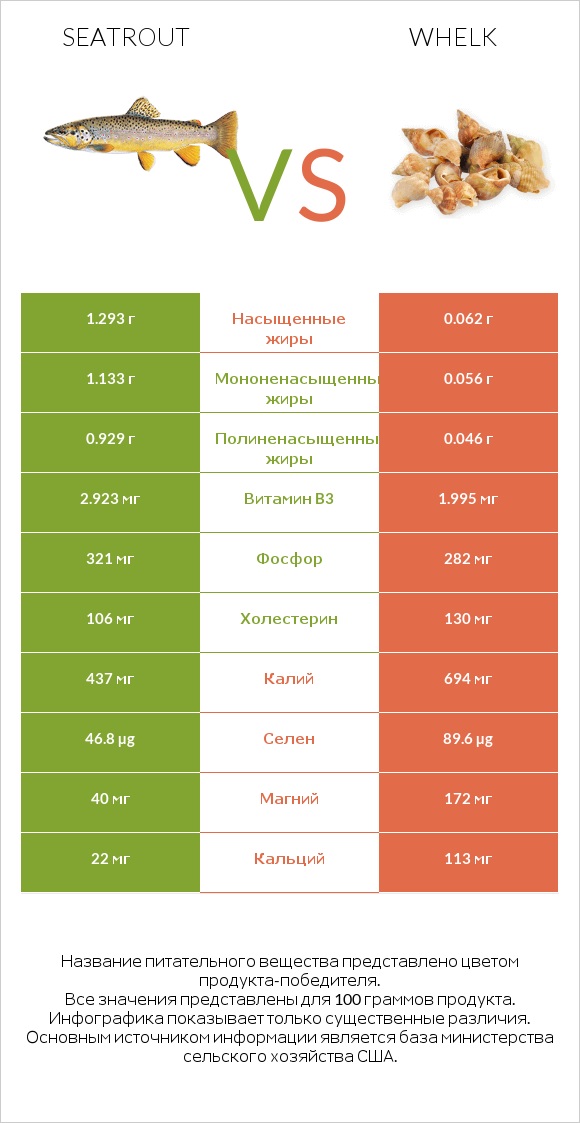 Seatrout vs Whelk infographic