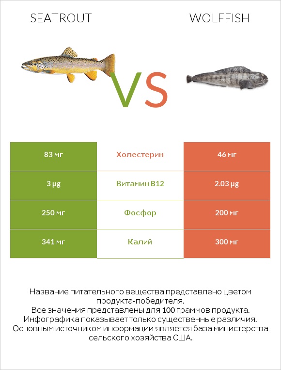 Seatrout vs Wolffish infographic