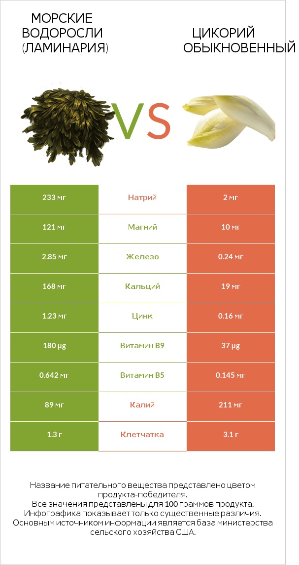 Морские водоросли (Ламинария) vs Цикорий обыкновенный infographic