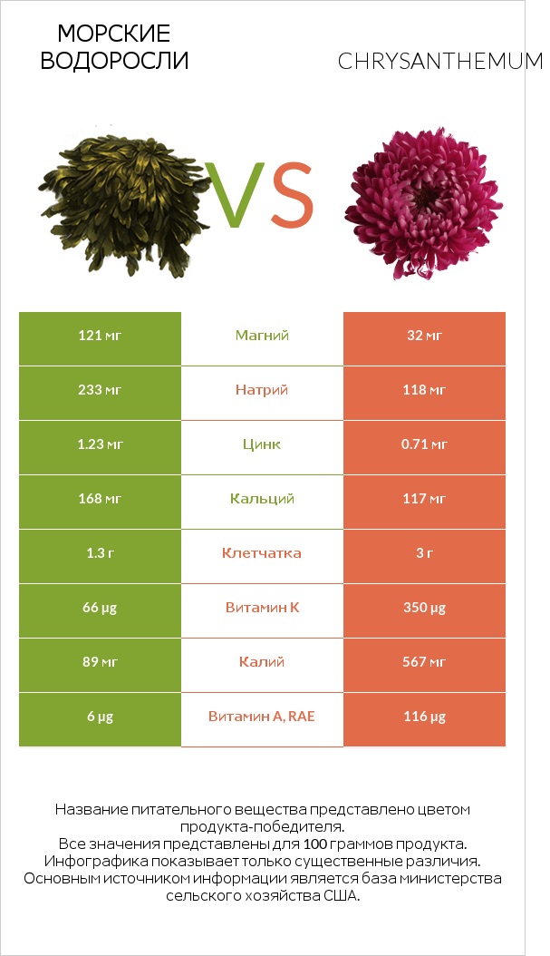 Морские водоросли vs Chrysanthemum infographic