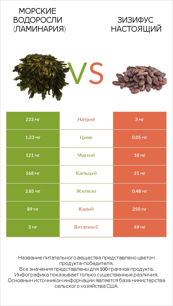 Морские водоросли (Ламинария) vs Зизифус настоящий infographic