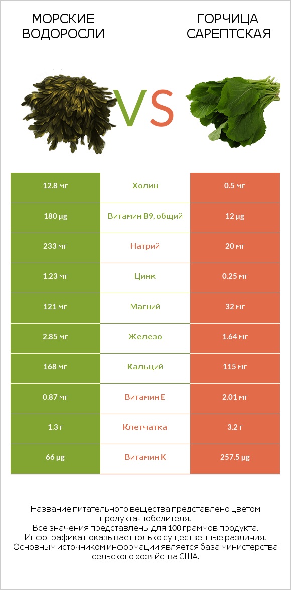 Морские водоросли vs Горчица сарептская infographic