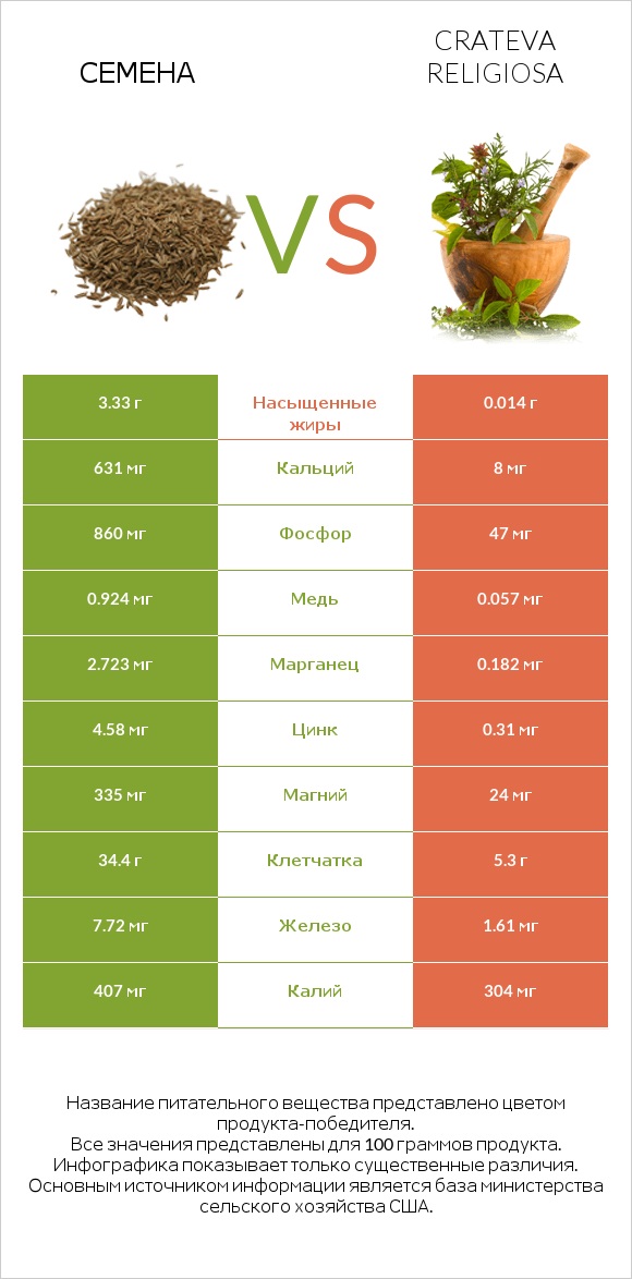 Семена vs Кратева священная infographic