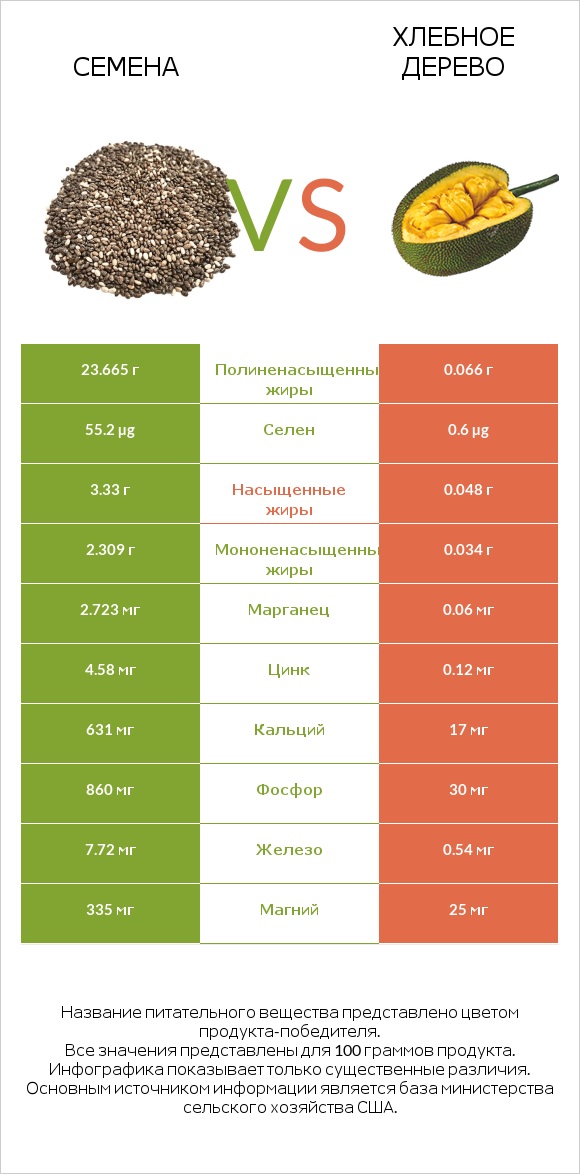 Семена vs Хлебное дерево infographic
