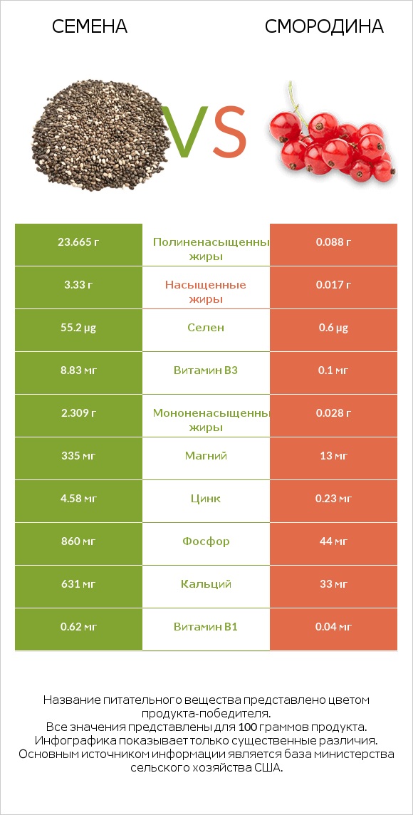 Семена vs Смородина infographic
