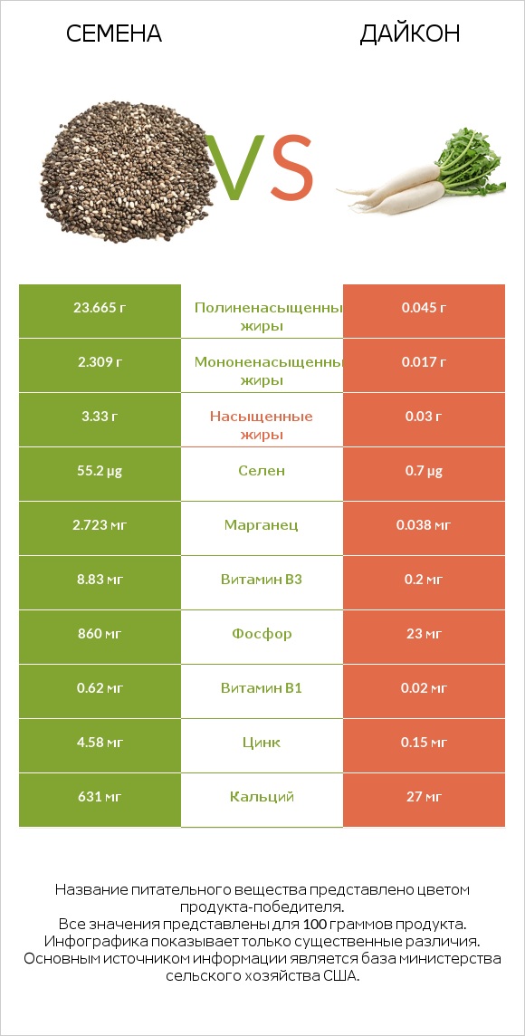 Семена vs Дайкон infographic