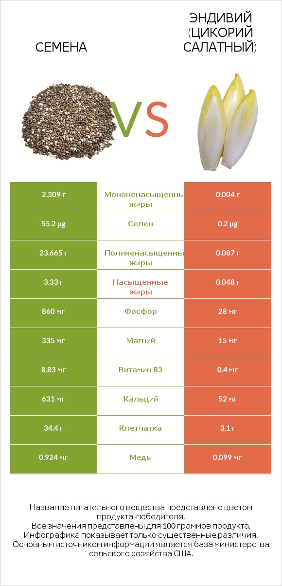 Семена vs Эндивий (Цикорий салатный) infographic