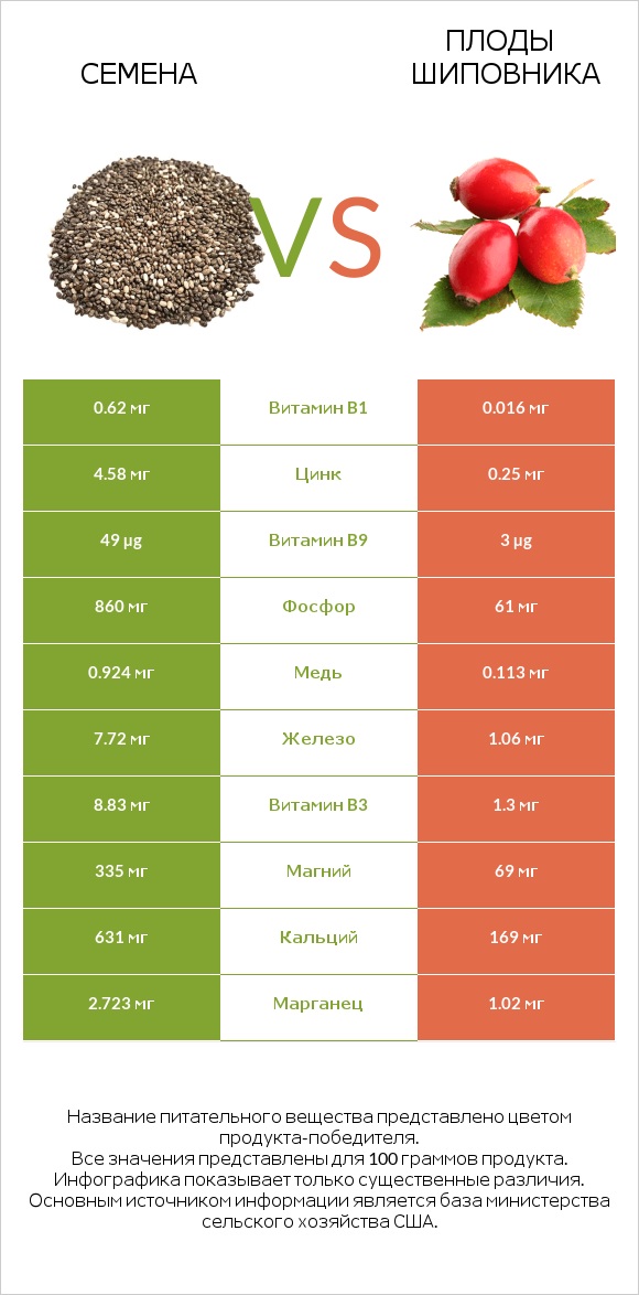 Семена vs Плоды шиповника infographic