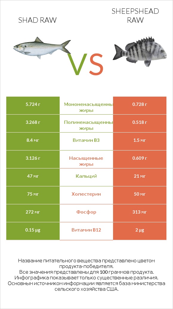 Shad raw vs Sheepshead raw infographic