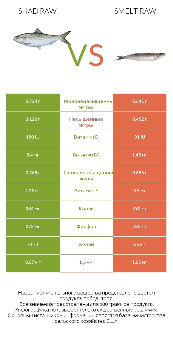 Shad raw vs Smelt raw infographic