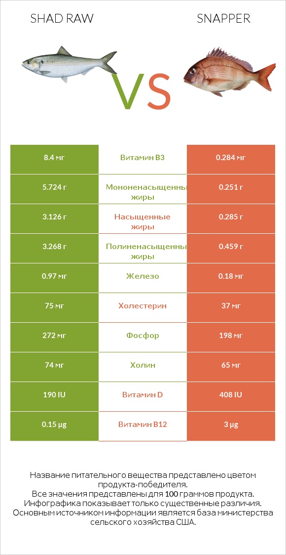 Shad raw vs Snapper infographic