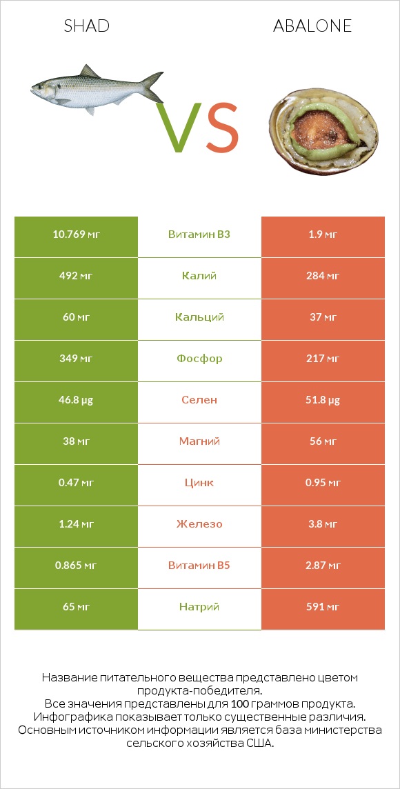 Shad vs Abalone infographic