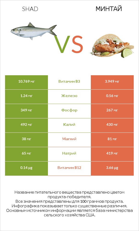 Shad vs Минтай infographic