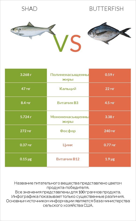 Shad vs Butterfish infographic