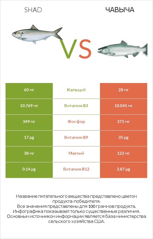 Shad vs Чавыча infographic