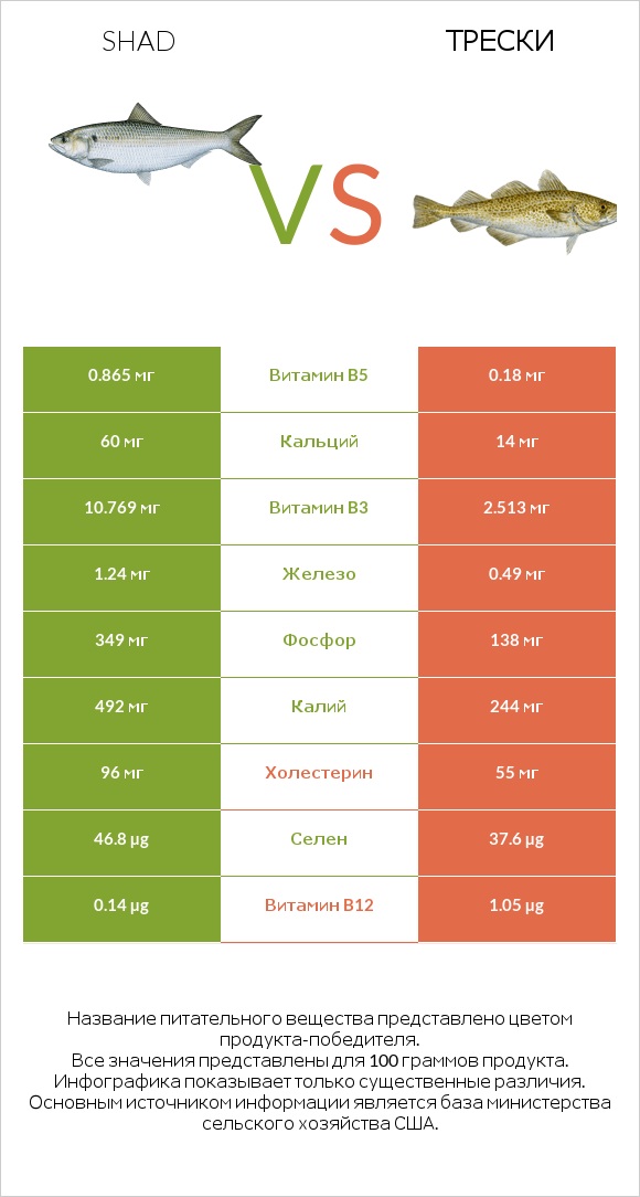 Shad vs Трески infographic