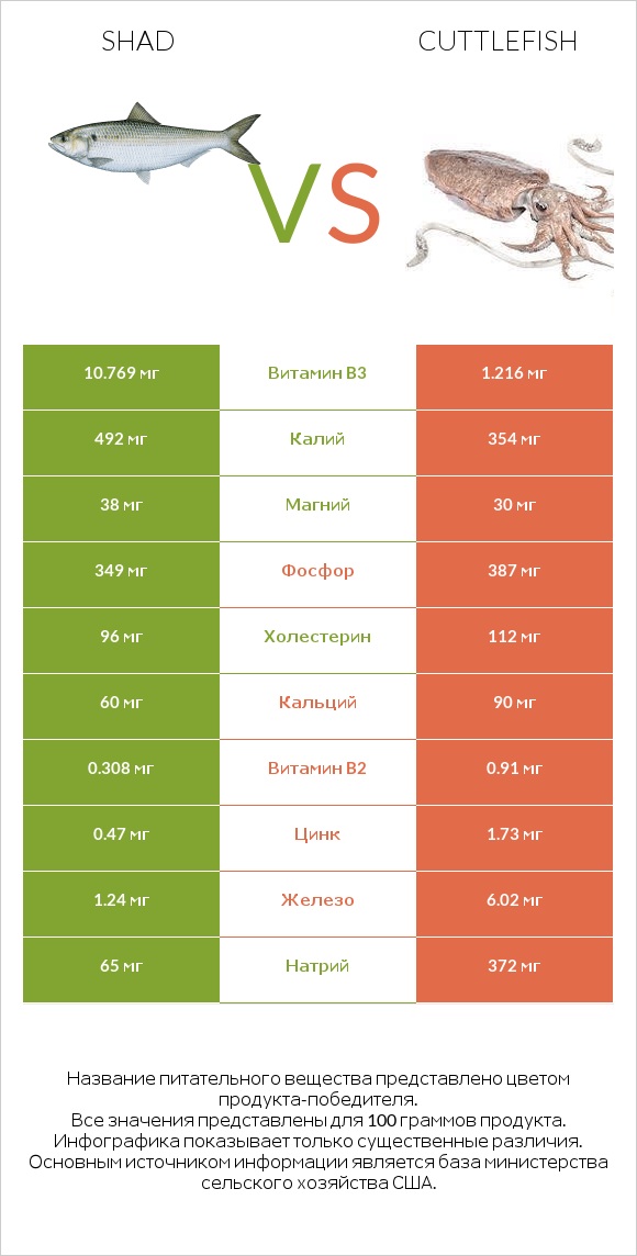 Shad vs Cuttlefish infographic