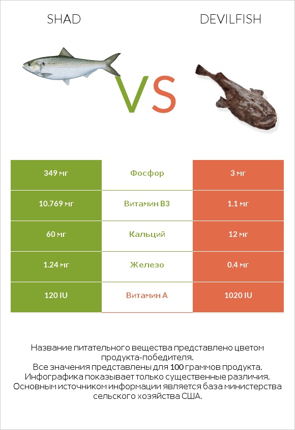 Shad vs Devilfish infographic