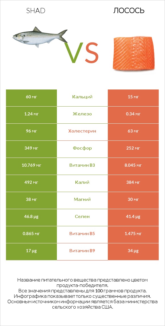 Shad vs Лосось infographic