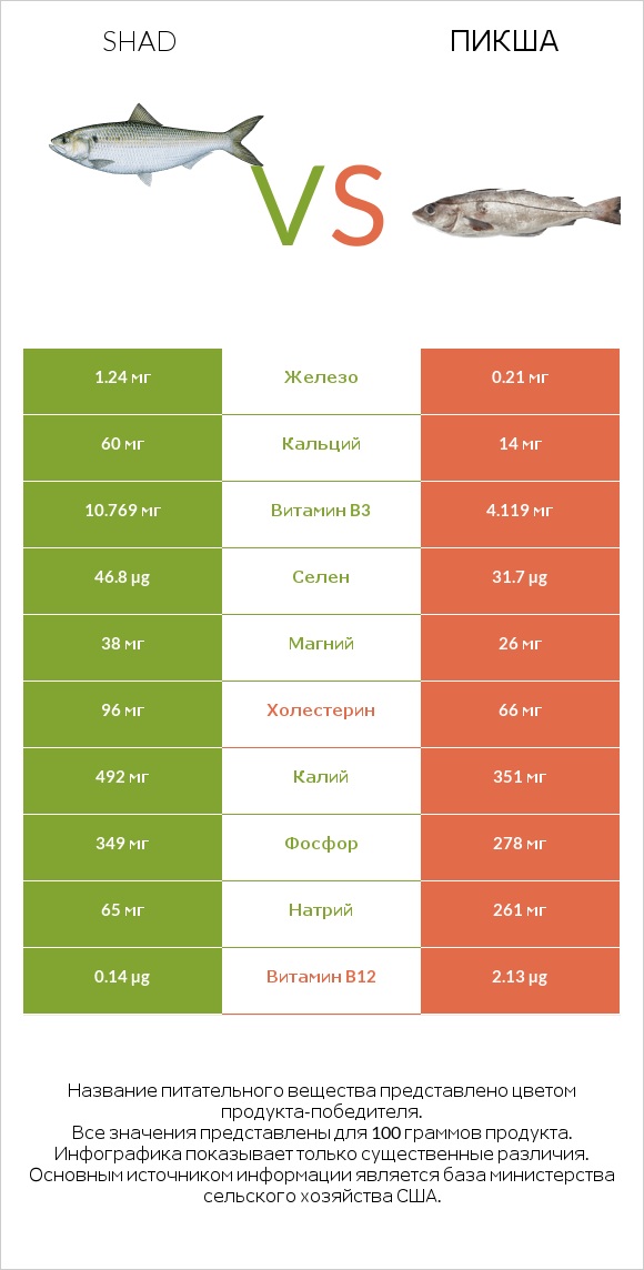 Shad vs Пикша infographic