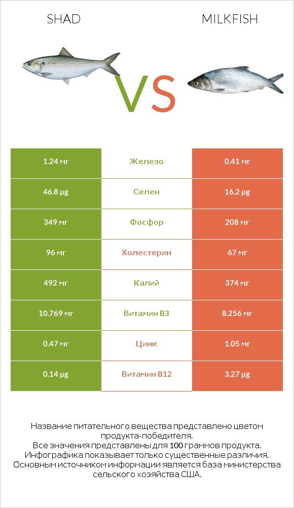 Shad vs Milkfish infographic