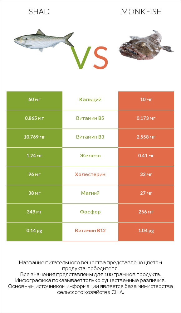 Shad vs Monkfish infographic