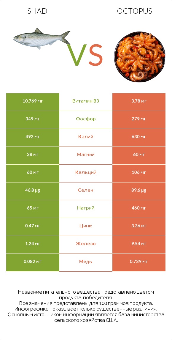 Shad vs Octopus infographic