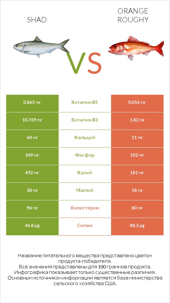 Shad vs Orange roughy infographic