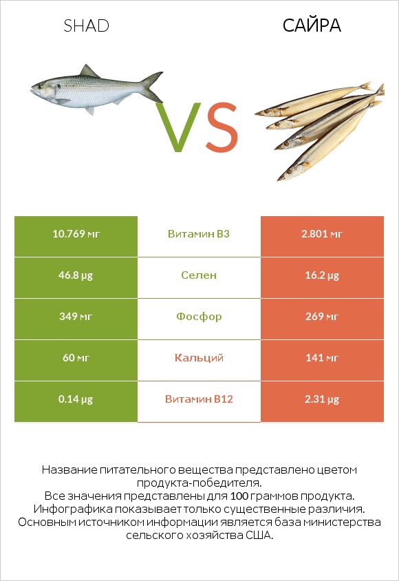 Shad vs Сайра infographic