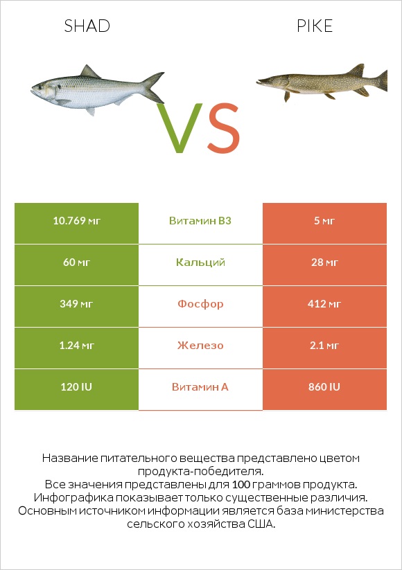 Shad vs Pike infographic