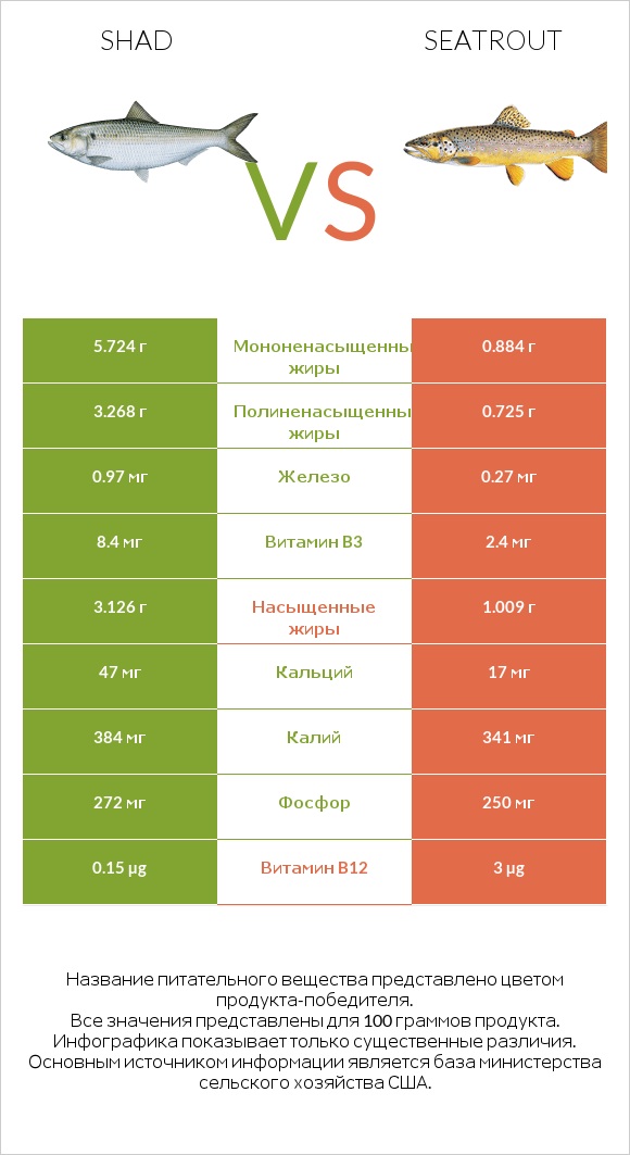 Shad vs Seatrout infographic