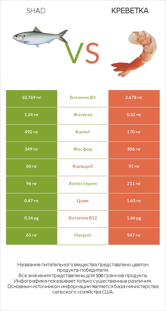 Shad vs Креветка infographic