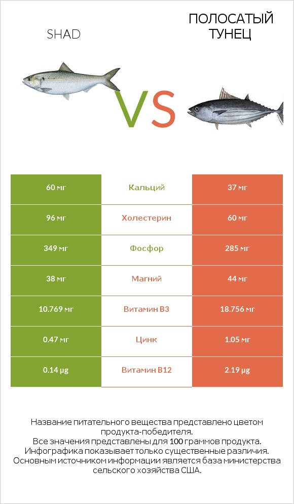 Shad vs Полосатый тунец infographic