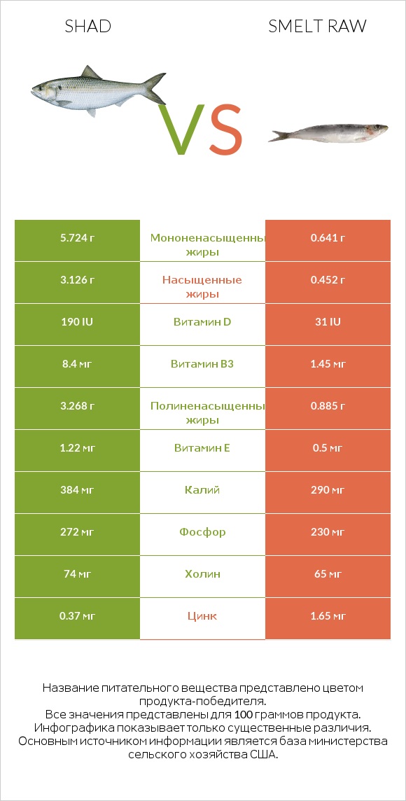 Shad vs Smelt raw infographic