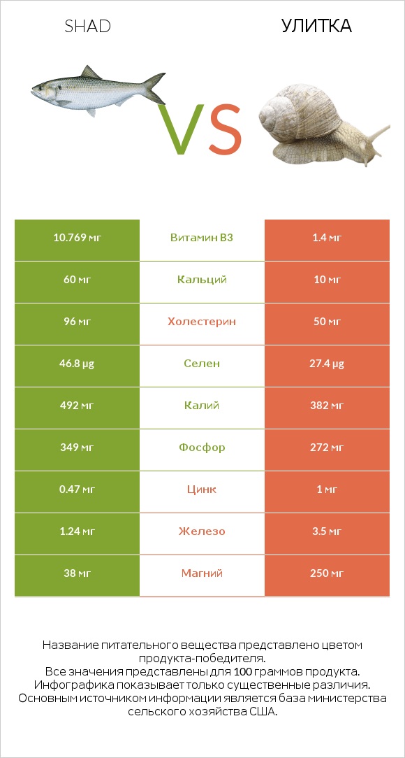 Shad vs Улитка infographic