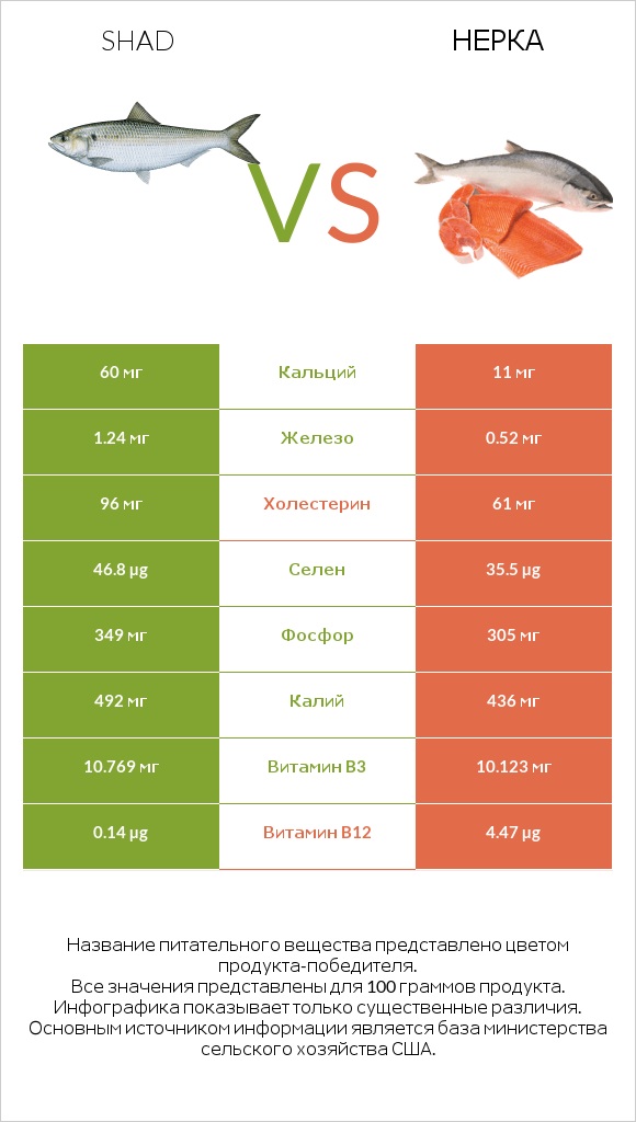 Shad vs Нерка infographic