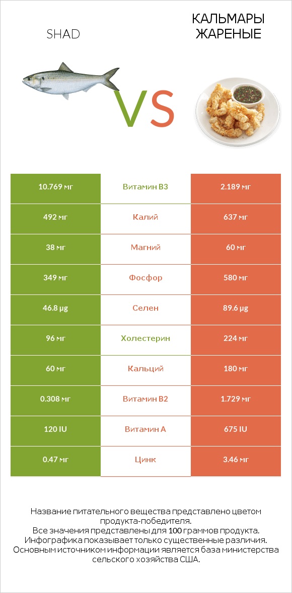 Shad vs Кальмары жареные infographic