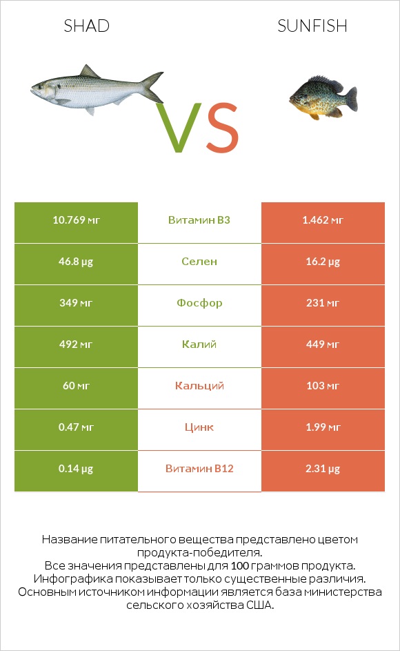 Shad vs Sunfish infographic