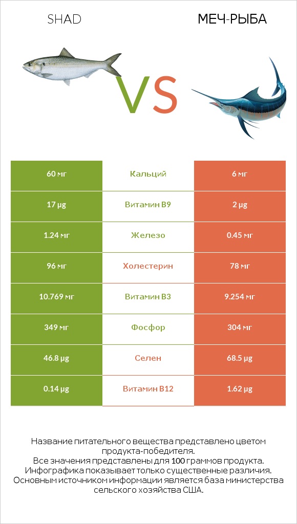 Shad vs Меч-рыба infographic