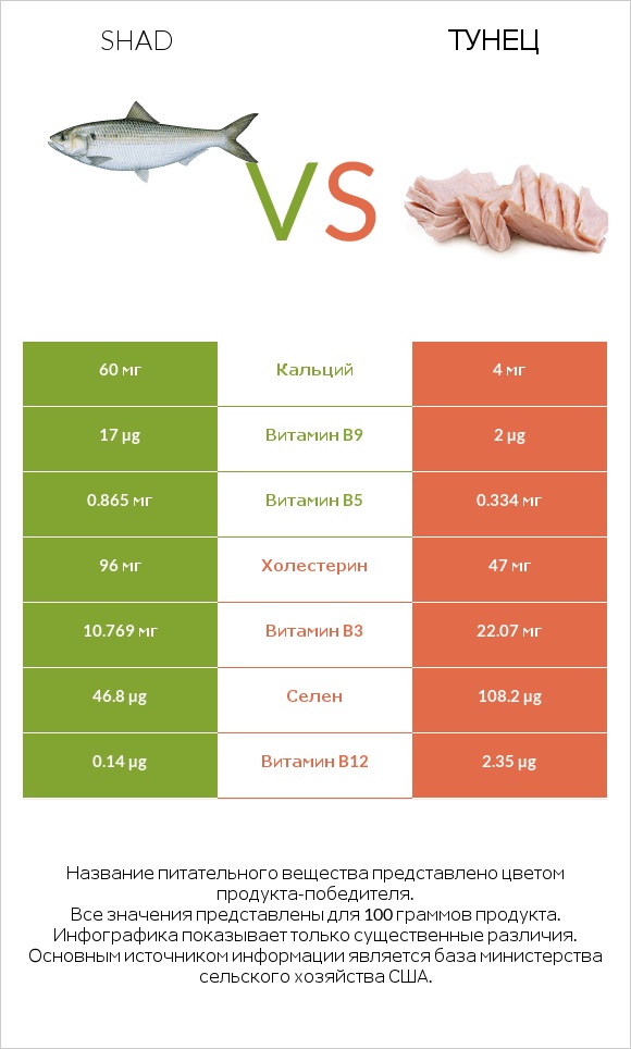 Shad vs Тунец infographic