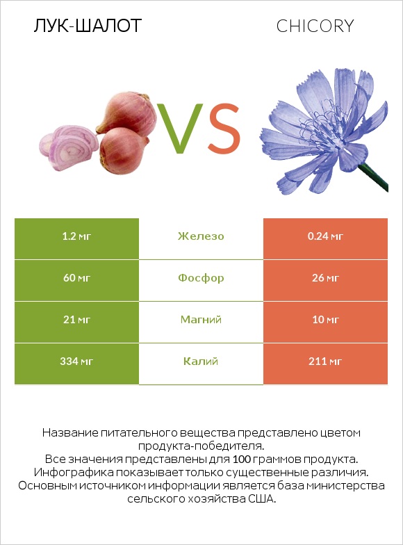 Лук-шалот vs Chicory infographic