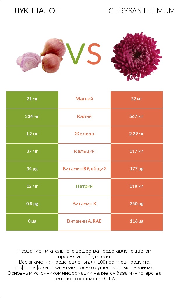 Лук-шалот vs Chrysanthemum infographic