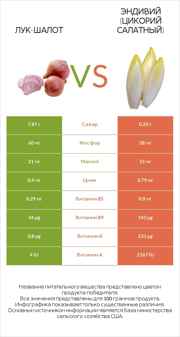 Лук-шалот vs Эндивий (Цикорий салатный)  infographic