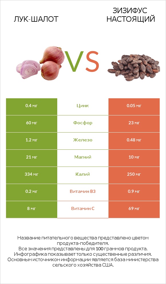 Лук-шалот vs Зизифус настоящий infographic